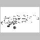 FireFlyPlainSKetch - Stars&StripesStarNose.bmp
